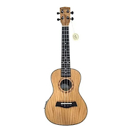 ASHLAND UK2411-EQ