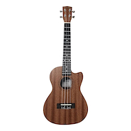ASHLAND UK216T