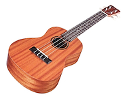CORDOBA U1MS