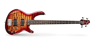 CORT ACTION DLX PLUS