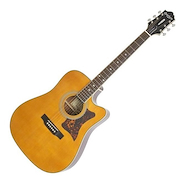 EPIPHONE DR-500MCE NA
