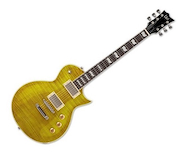 ESP LTD EC256 LD