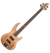 ESP LTD B204SM