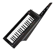 KORG RK-100S 2