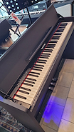 NUX WK310