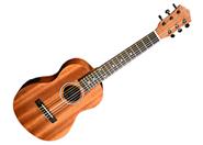 ASHLAND UK3014GL-EQ Guitalele 30