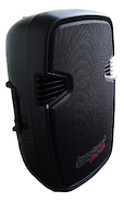 LEXSEN LP-15 BAFLE PASIVO 15