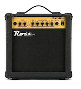 ROSS G-25R Amplificador | Para guitarra | 25w | Parlante 8
