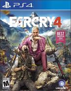 SONY DIGITALES PS4 FARCRY 4