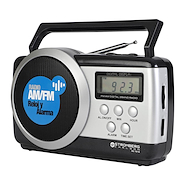 STROMBERG RD-7818 RADIO DUAL DIGITAL AM/FM