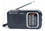 STROMBERG RA-2011 RADIO DUAL AM/FM