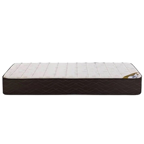 COLCHON ESPUMA GOLDEN FLEX 80X190X24CM-33KG DENS-JACKARD GANI CEGF80-24