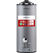 TERMOTANQUE GAS ALTA RECUPERACION 50LTS-FAMILY-BIGAS 330007 SEÑORIAL TTS-50AR