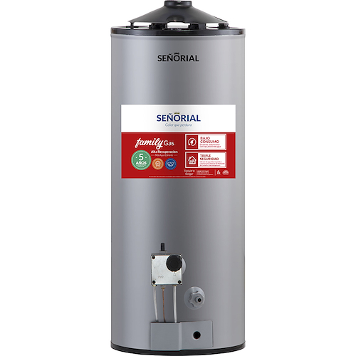 TERMOTANQUE GAS ALTA REC.50LTS-FAMILY-BIGAS-SUPERIOR-INFERIO SEÑORIAL TTS-50AR