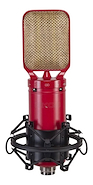 EIKON PROEL RM8 Professional Ribbon Microphone  Figure-8