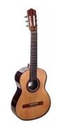 FONSECA 10 GUITARRA MODELO 10 NATURAL