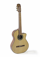 LA ALPUJARRA 83KM GUITARRA MODELO 83 CON CORTE MATE