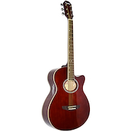 LEONARD LA267WA Guitarra acústica TAPA PINO Clavijas Blindadas Color MARRON