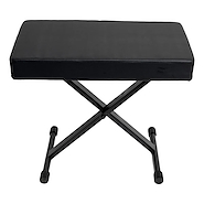PARQUER 94028 BANQUETA PIANO ACOLCHADA DOBLE