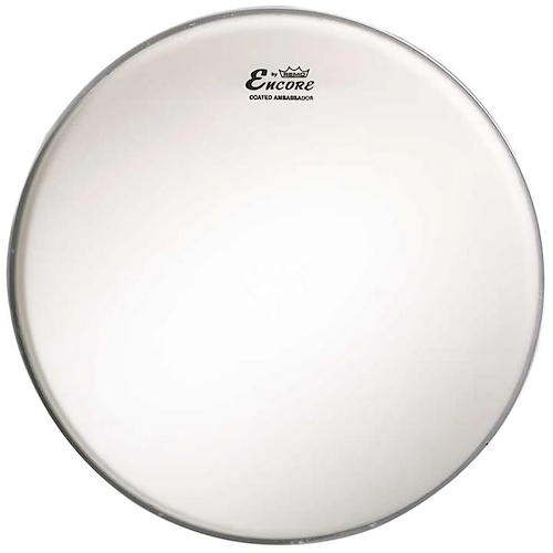 REMO ASIA EN-1120-BA Parche |  20