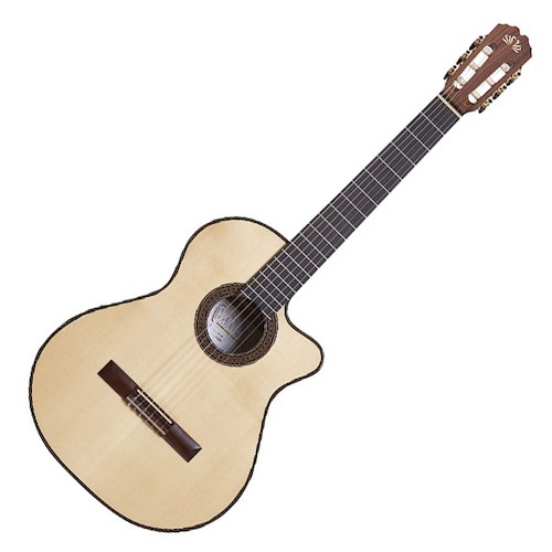 Guitarra Clasica Concierto Diapason De Ebano y Eq Fish corte ALPUJARRA 85 K PRESYS