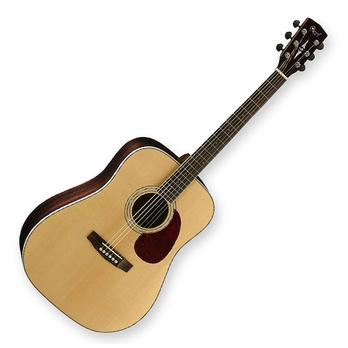 Guitarra Acustica Earth Diapason Palo De Rosa CORT EARTH-100RW-NAT