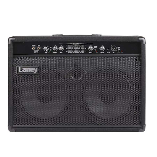 Amplificador Bajo Richter 300W 2X10