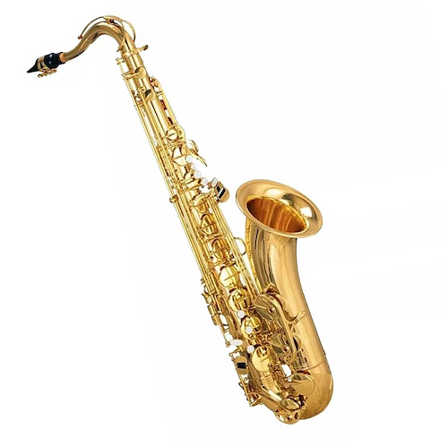 Saxo Alto OCEAN LAS190 