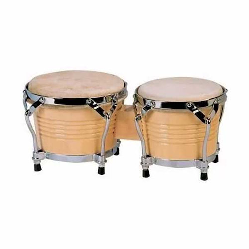 Bongo 6,5