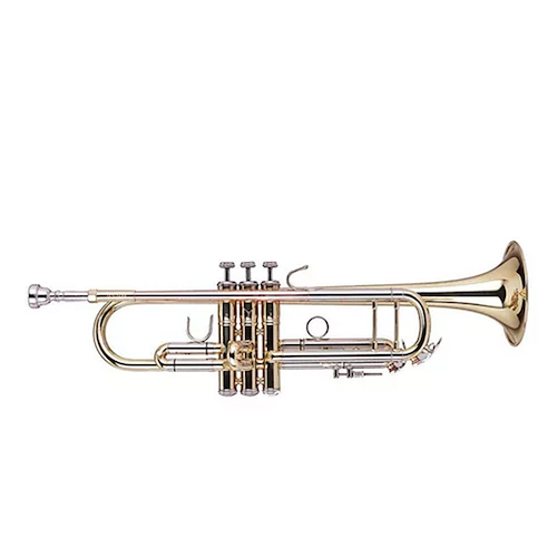 Trompeta Bb Dorada Metal Laqueado WISEMANN DTR-250