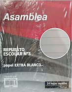 REPUESTO N°3 ASAMBLEA 24 HOJAS