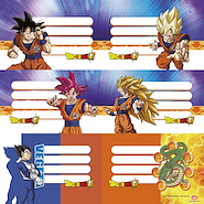 ETIQUETAS ESCOLARES PACK X 12 MOOVING DRAGON BALL