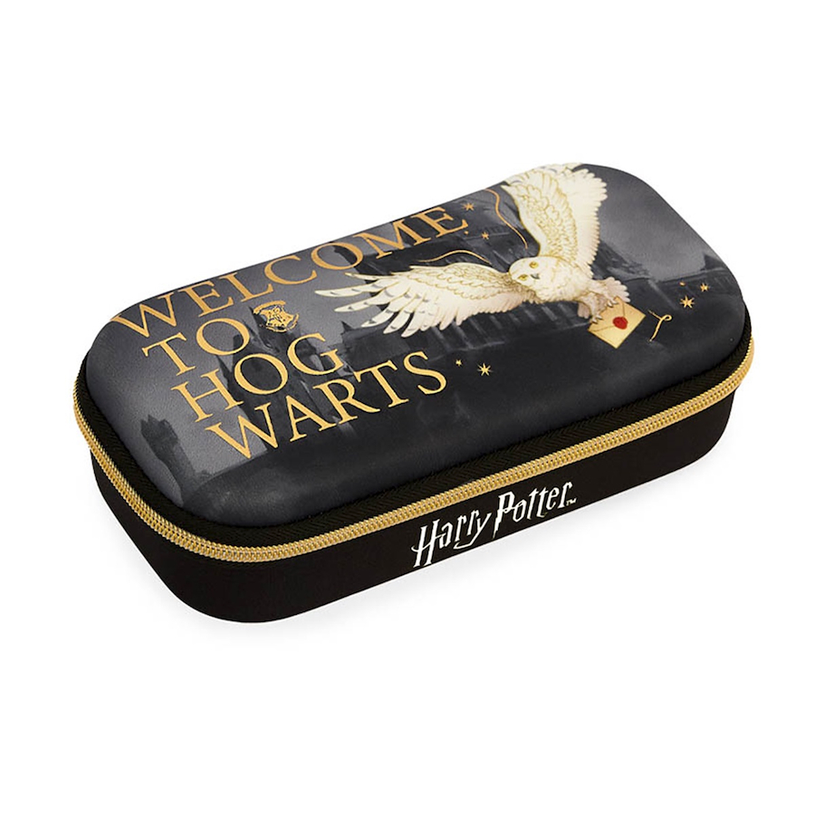 CANOPLA BOX HARRY POTTER MOOVING HARRY POTTER - $ 24.900