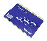 INDICE FICHERO N°1 NEPACO