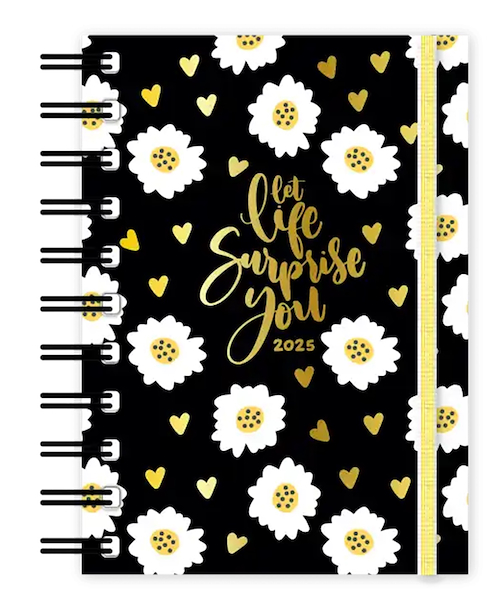 AGENDA 2025 10x15 DIARIA ONIX PRIMAVERAL