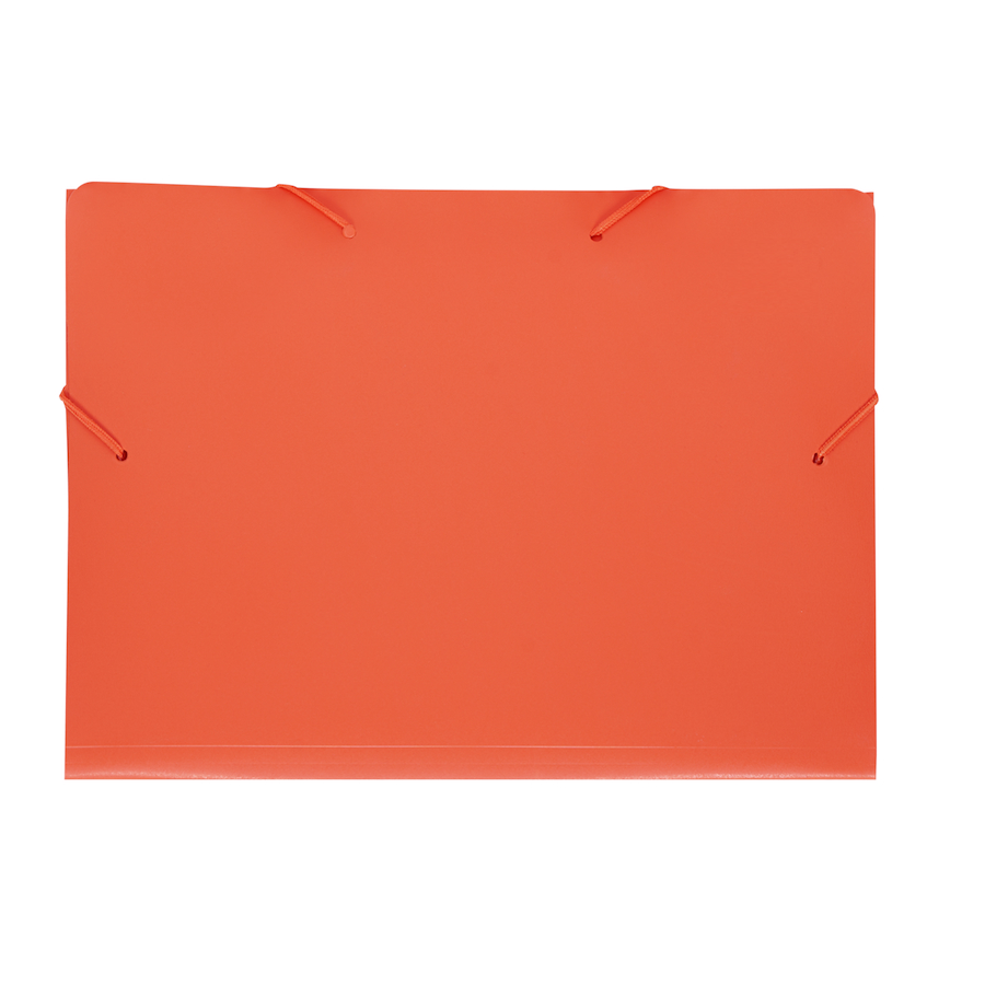 CARPETA - 3 SOLAPAS - DOBLE OFICIO RIDEO INTENSE - $ 8.900