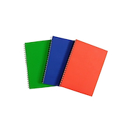 CUADERNO N°3 ENTELADO CLASICO 60 HOJAS RA RIDEO