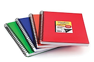 CUADERNO T/D 29.7 CUAD.120H CUADRICULADO TRIUNFANTE