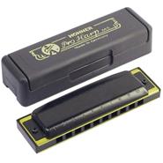 HOHNER Pro-Harp 20V - Abs - A Armonica Blusera