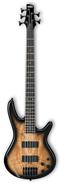 IBANEZ GSR205SM - Natural Gray Burst (NGT) Bajo Eléctrico 5 Cuerdas