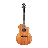 BREEDLOVE WWC11CES ORGANIC WILDWOOD CONCERT SATIN CE