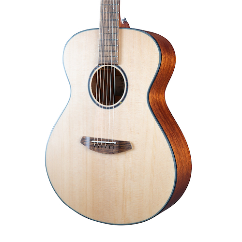 BREEDLOVE DSSC212 Discovery S Concert European-African mahog