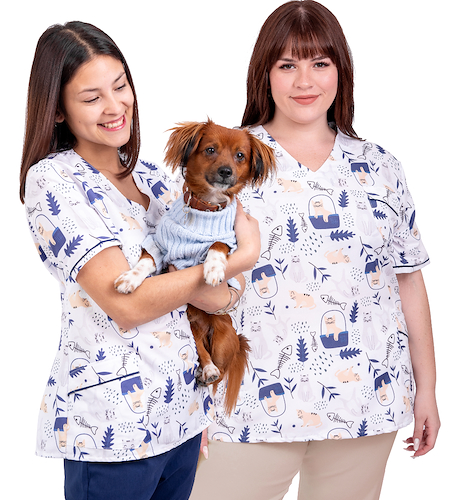 Chaqueta Importada Estampada Entallada Gatitos