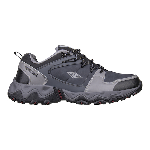 ALPINE SKATE POLSON