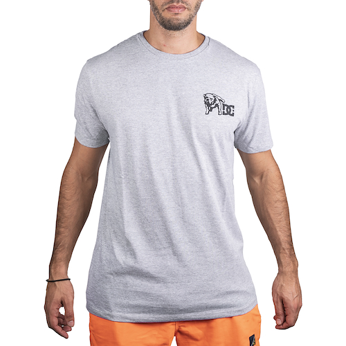 DC SHOES WATCH DOG