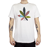 REEF DAZED
