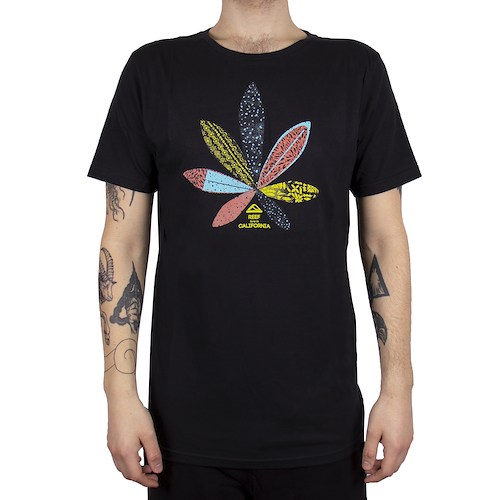 REEF DAZED