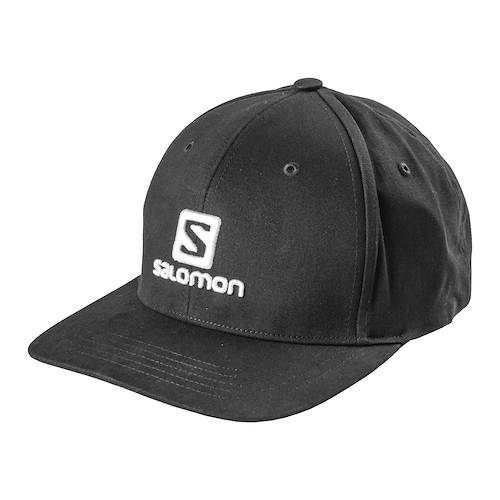 SALOMON GO LOGO